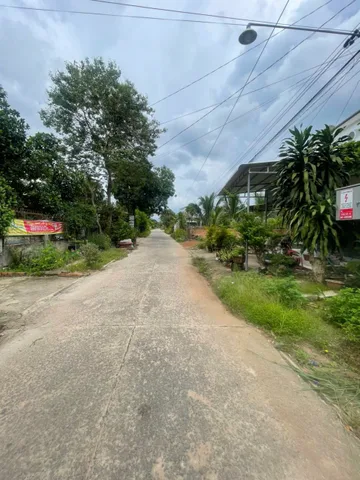 Đất thổ vườn 281m2 (6x49) xã Tân Hà, Đức Linh, Bình Thuận, giá đầu tư