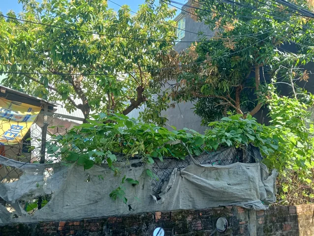 BÁN LÔ ĐẤT SIÊU ĐẸP – SAU MẶT TIỀN TÔN ĐẢN – GIÁ TỐT NHẤT KHU VỰC