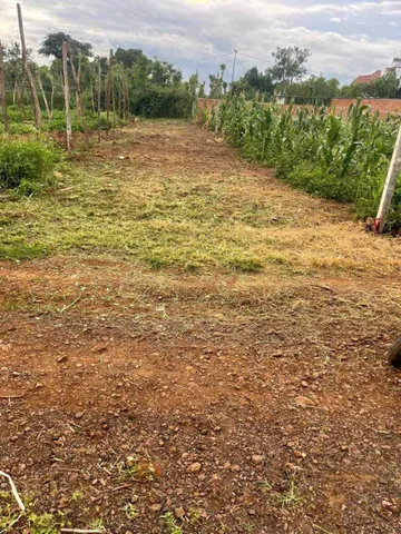 bán lô đất  phường Bmt  diện tích 165m2 5m giá 859tr