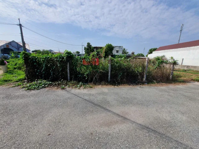 (L921) Đất xã Tân Thạnh Đông, dt 147m2, full thổ cư, giá 2 tỷ 500 thương lượng