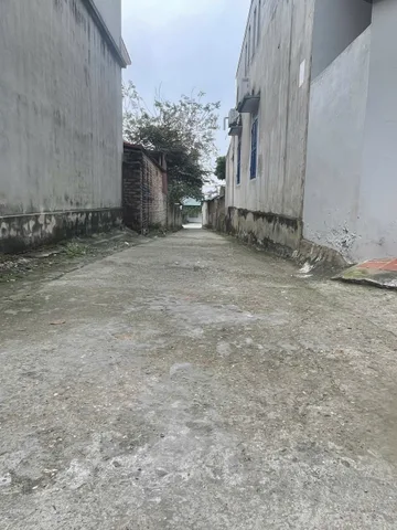 Bán đất 105.8m² có sẵn 50m² thổ cư ngang 5m giá 2.5 tỷ tại Phường Việt Trì
