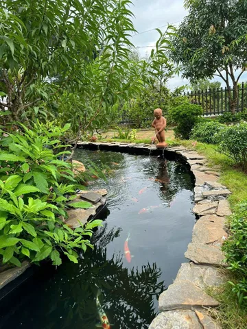 HOMESTAY NGHỈ DƯỠNG ĐẮK LẮK - HẺM NHỎ - SAU KHU LÊ VỤ