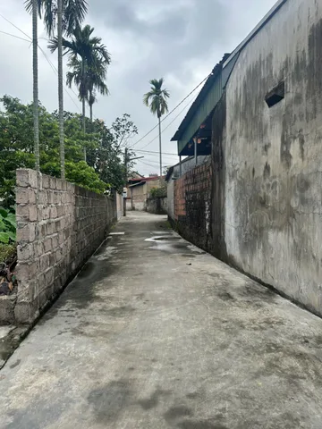 🚨 HÀNG HIẾM TRUNG TÂM – 132m² ĐẤT ĐẸP PHƯỜNG THIÊN HƯƠNG 🚨l/h:076.231.9990 e Thúy
Hiện tại khu này rất ít lô diện tích đẹp + giá mềm như vậy.
📍 Vị trí: Thiên Hương – Thuỷ Nguyên – Hải Phòng
✨ Thông tin lô đất:
Diện tích: 132m² vuông đẹp
Ngõ thông, ô 
