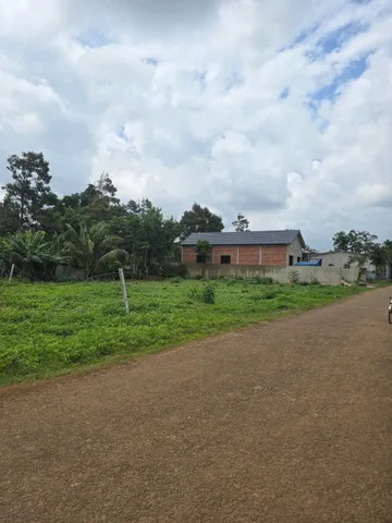 Đất trục chính buôn Tara