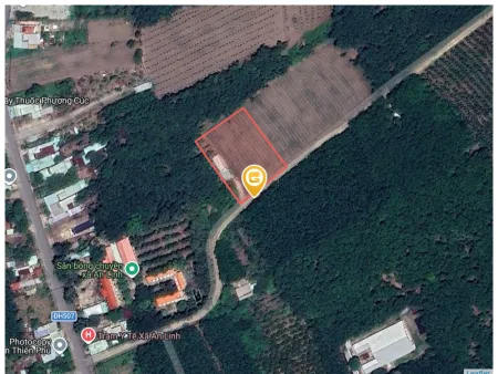 Bán đất 3889m² có sẵn 100m² thổ cư ngang 5m tại Xã An Long