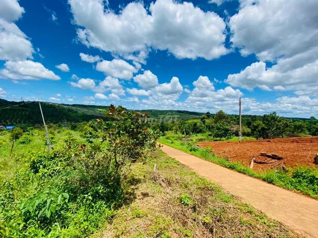 Đất 02 Mặt tiền hiện hữu trước và sau thể hiện trên sổ ngay trung tâm xã Đăk Sin. View Đẹp. Giá 550 Tr/1230m2. Sẵn 200m thổ cư