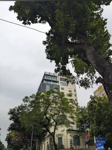 🔥SIÊU PHẨM TÒA VP NẰM NGAY TUYẾN PHỐ TT THỦ ĐÔ.🔥
                              
🔹 Diện tích sổ đỏ: 498m² (diện tích thực tế 525m²)               
🔹 Mặt tiền siêu rộng: 34m
