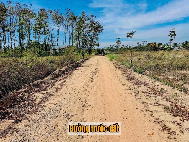 Bán đất 300m² có sẵn 60m² thổ cư ngang 6m giá 179 triệu tại Xã Ea Păl