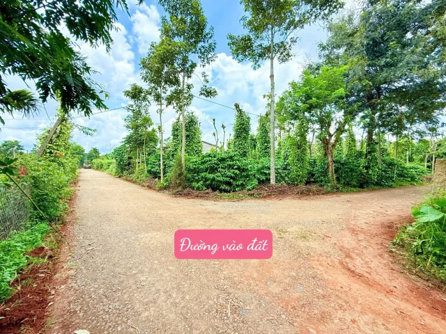 Bán đất 228m² có sẵn 60m² thổ cư ngang 6m giá 289 triệu tại Xã Dray Bhăng