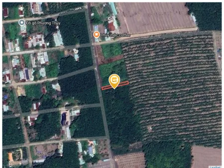 Bán đất 281.8m² có sẵn 100m² thổ cư ngang 5m tại Xã Phước Thành