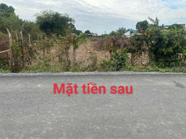 Đất mặt tiền đường Bàu Lách Phạm Văn Cội Củ Chi đường nhựa xe tải tránh nhau