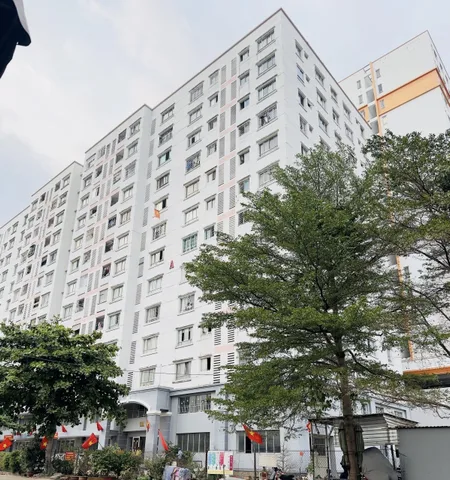 CHUNG CƯ QUẬN 8 – CĂN GÓC SIÊU THOÁNG – SỔ HỒNG RIÊNG – TẠ QUANG BỬU –GIÁ TỐT CHỦ GẤP BÁN