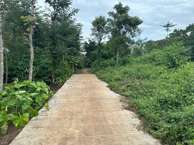 ĐẤT PHƯỜNG #EAKAO 
Diện tích: 5 x 28m__Thổ cư: 60m²
_Sổ sẵn – #550 triệu
✨ Gần trường học, UBND, chợ và các dự án lớn
