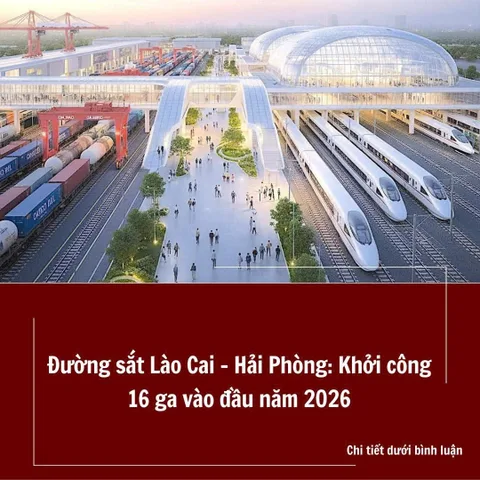 🚀 SALE MẠNH
🔥 SIÊU PHẨM KIẾN THỤY – MUA 1 LÔ, TƯƠNG LAI 2