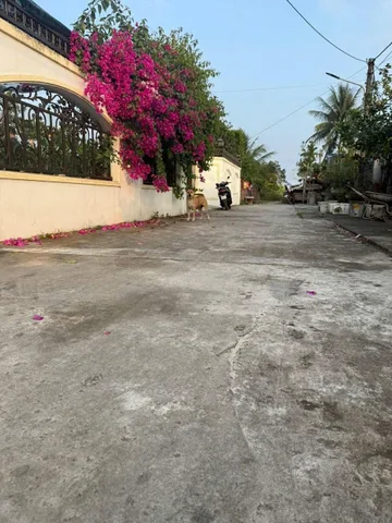 05/04/2026.Bán đất 99m² full thổ cư ngang 5m giá 2.48 tỷ tại Phường Thiên Hương. Lâm Động. liên hệ 0362558882