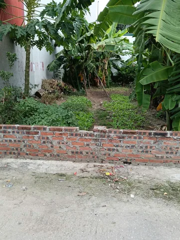 Bán Đất Thôn Đông – Thanh Trù – Vĩnh Yên | 105m² Full Thổ Cư, Vị Trí Đẹp