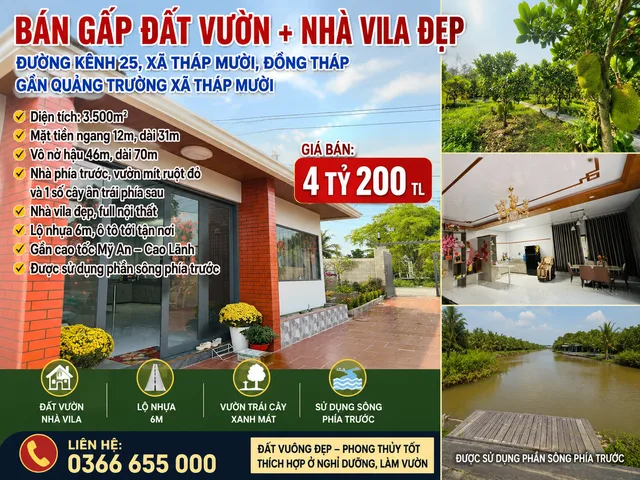 cần bán đất vườn mít ruột đỏ có nhà vila đẹp