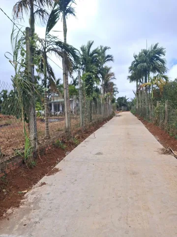 Bán đất 150m² có sẵn 80m² thổ cư ngang 5m giá 790 triệu tại Phường Buôn Hồ
