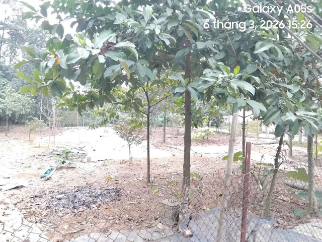 Bán đất 98.3m² full thổ cư ngang 5m giá 2.2 tỷ tại Phường Nông Trang