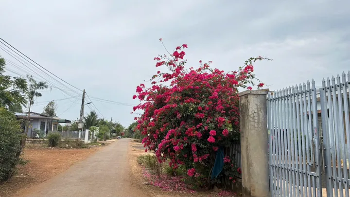 HẠ GIÁ BÁN NHANH LÔ ĐẤT THÔN 5 EABAR