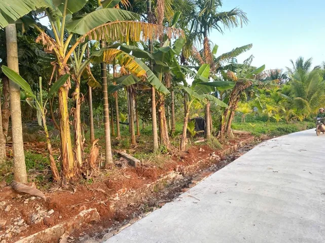 BÁN ĐẤT 500MV CÓ THỔ CƯ NGANG TẬN 54M NỞ HẬU