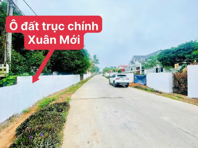 Chính chủ bán gấp lô đất trục chính kinh doanh Thanh Vân, Tam Dương 99,1m MT5M sẵn sổ giá 1.57 tỷ 0988296228
