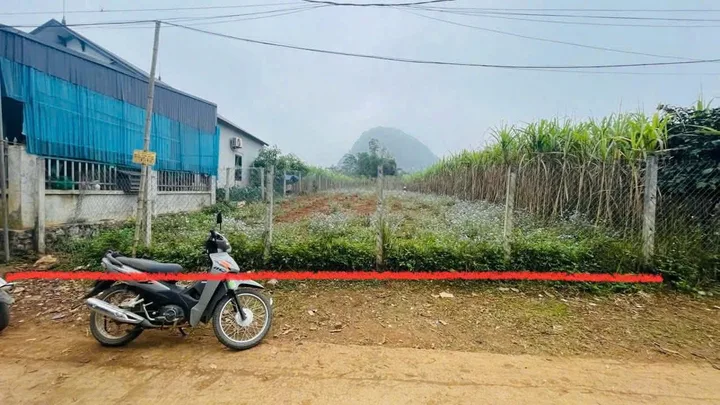 Cần Bán Lô Đất 735,9M2 Có 200M2 Đất Ở Giá Chỉ 699Triệu