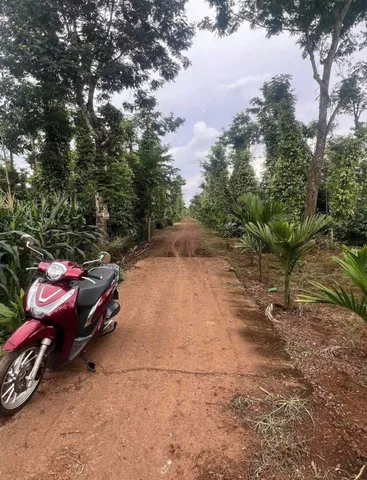 ❌ Cách Eakao- Cao Thắng chỉ 5 P di chuyển chân dài 49m mà chỉ 339tr