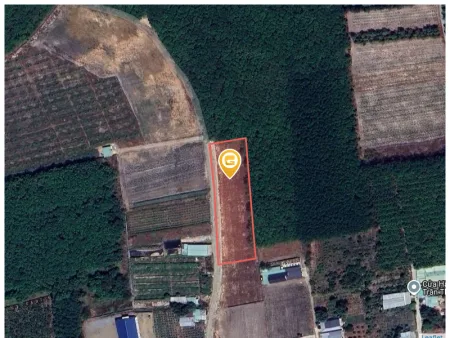 Bán đất 186,1m² có sẵn 100m² thổ cư ngang 5m giá 1 tỷ tại Xã Trừ Văn Thố