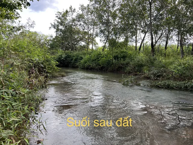 Bán view nghỉ dưỡng Hoà Hội, Tp.HCM chỉ 3ty