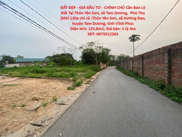 ĐẤT ĐẸP - GIÁ ĐẦU TƯ - CHÍNH CHỦ Cần Bán Lô Đất Tại Thôn Yên Sơn, xã Tam Dương,  Phú Thọ (Mới )