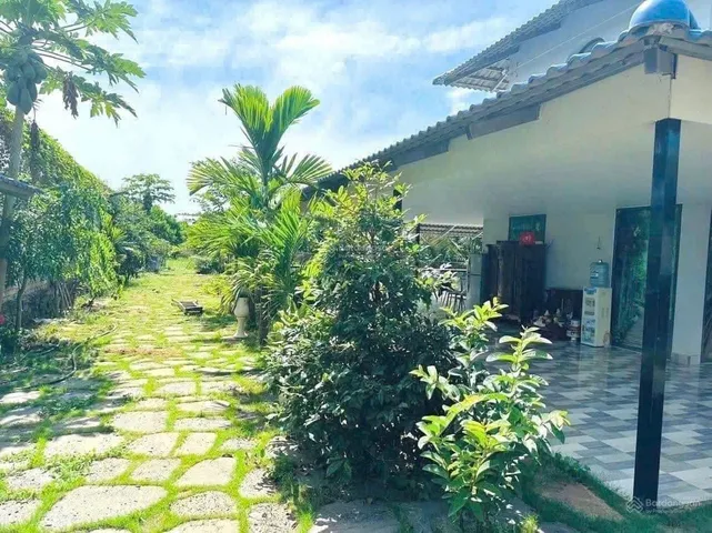 VƯỜN CÂY ĂN TRÁI+NHÀ 2500M2 SỔ RIÊNG, THỔ CƯ, SÁT CHỢ GIÁ 550TR