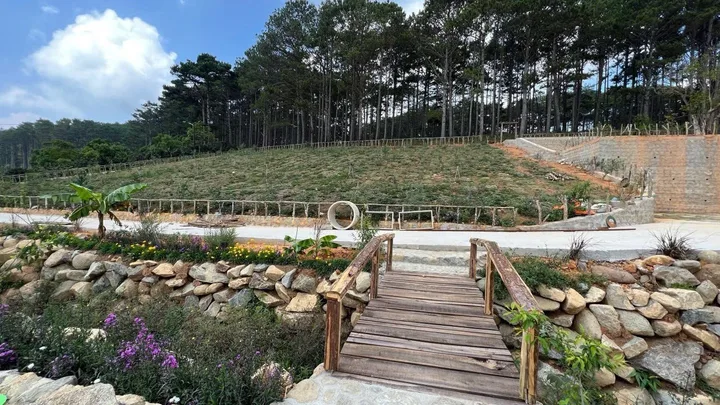 Xoay tới Xoay lui Không kịp xoay vòng Chú Dì Đành ngậm ngùi bán Lỗ sập sàn 1326m2 giá 419tr