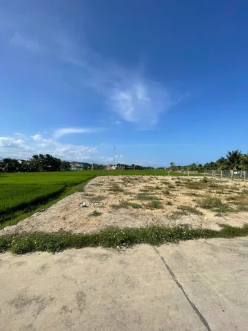 🏡 BÁN ĐẤT PHƯỜNG NINH HÒA (NINH ĐA CŨ) – GẦN CHỢ CHIỀU MỸ LỆ