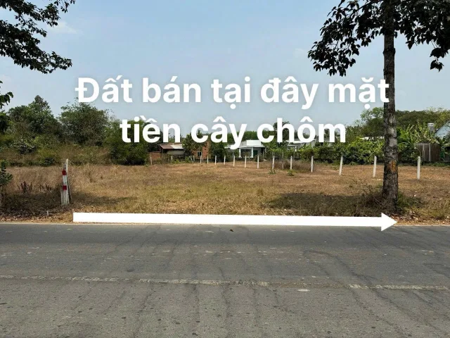 Bán đất mặt tiền kinh doanh buôn bán đường Cây Trôm Mỹ Khánh xã Thái Mỹ Củ Chi TPHCM, DT: 6x39m.