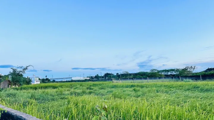 💥 Đất rộng P. Thống Nhất cho anh chị làm nhà vườn