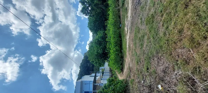Lô đất 2700m đất Mê Linh- Đà Lạt 🌲🏠 6 tỷ 2- view rừng thông- cách đường chính 725 600m