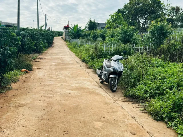 Đất thổ cư ngay ủy ban xã Nam Hà, 200m ra tới đường nhựa. Sẵn Vườn cây ăn trái. Giá 1.050 tỷ/360m2