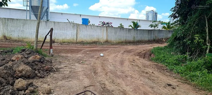 Cho thuê đất trống CLN SKC xã An Long, TP. HCM, giá 9,9 triệu/tháng diện tích 4,5 ha