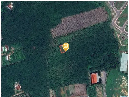Bán đất 438.9m² có sẵn 90m² thổ cư ngang 16,5m giá 1.35 tỷ tại Xã Phước Hòa