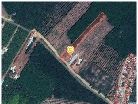 Bán đất 3739.1m² có sẵn 200m² thổ cư ngang 18m giá 970 triệu tại Xã Phước Thành