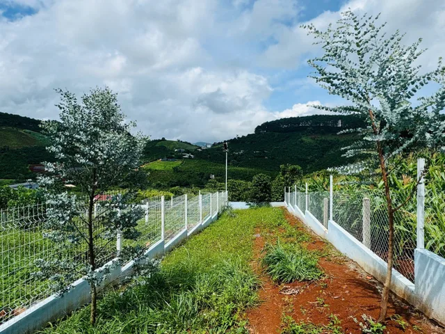 Đất thổ cư xã Mê Linh cách ĐT 725 chỉ 1.2km. GIá 630 triệu. Trọn Sổ