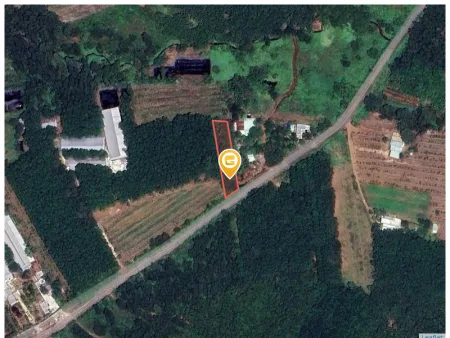 Bán đất 1148.3m² có sẵn 100m² thổ cư ngang 16,5m tại Xã Phước Hòa