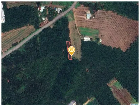 Bán đất 568.5m² có sẵn 200m² thổ cư ngang 10m giá 920 triệu tại Xã Phước Hòa