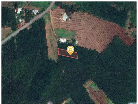 Bán đất 1261.5m² có sẵn 100m² thổ cư ngang 18,2m giá 1.16 tỷ tại Xã Phước Hòa