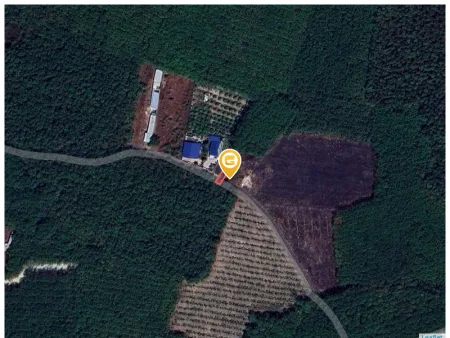 Bán đất 179.5m² có sẵn 100m² thổ cư ngang 5m tại Xã Trừ Văn Thố