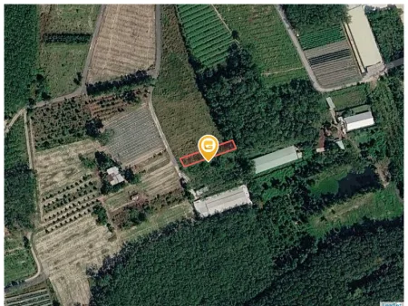 Bán đất 632.3m² có sẵn 100m² thổ cư ngang 6,2m giá 690 triệu tại Xã Bàu Bàng