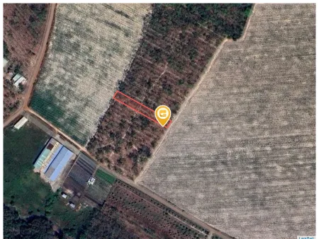 Bán đất 1089.4m² có sẵn 100m² thổ cư ngang 12m tại Xã Trừ Văn Thố