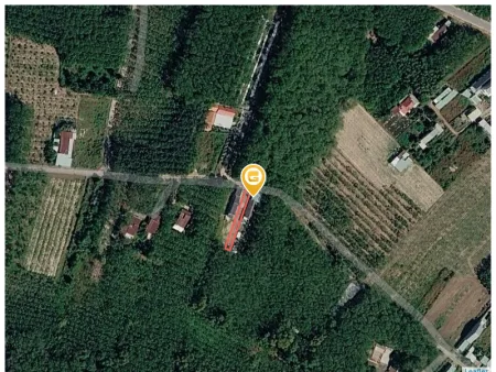 Bán đất 309m² có sẵn 100m² thổ cư ngang 5m giá 580 triệu tại Xã Bàu Bàng