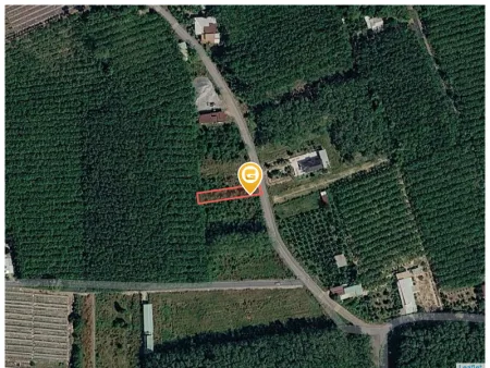 Bán đất 608m² có sẵn 100m² thổ cư ngang 10m giá 1.25 tỷ tại Xã Bàu Bàng